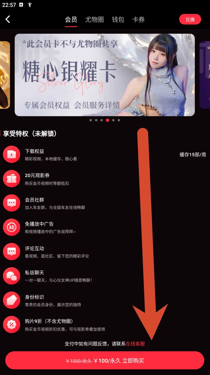 糖心银耀卡会员价格界面示例