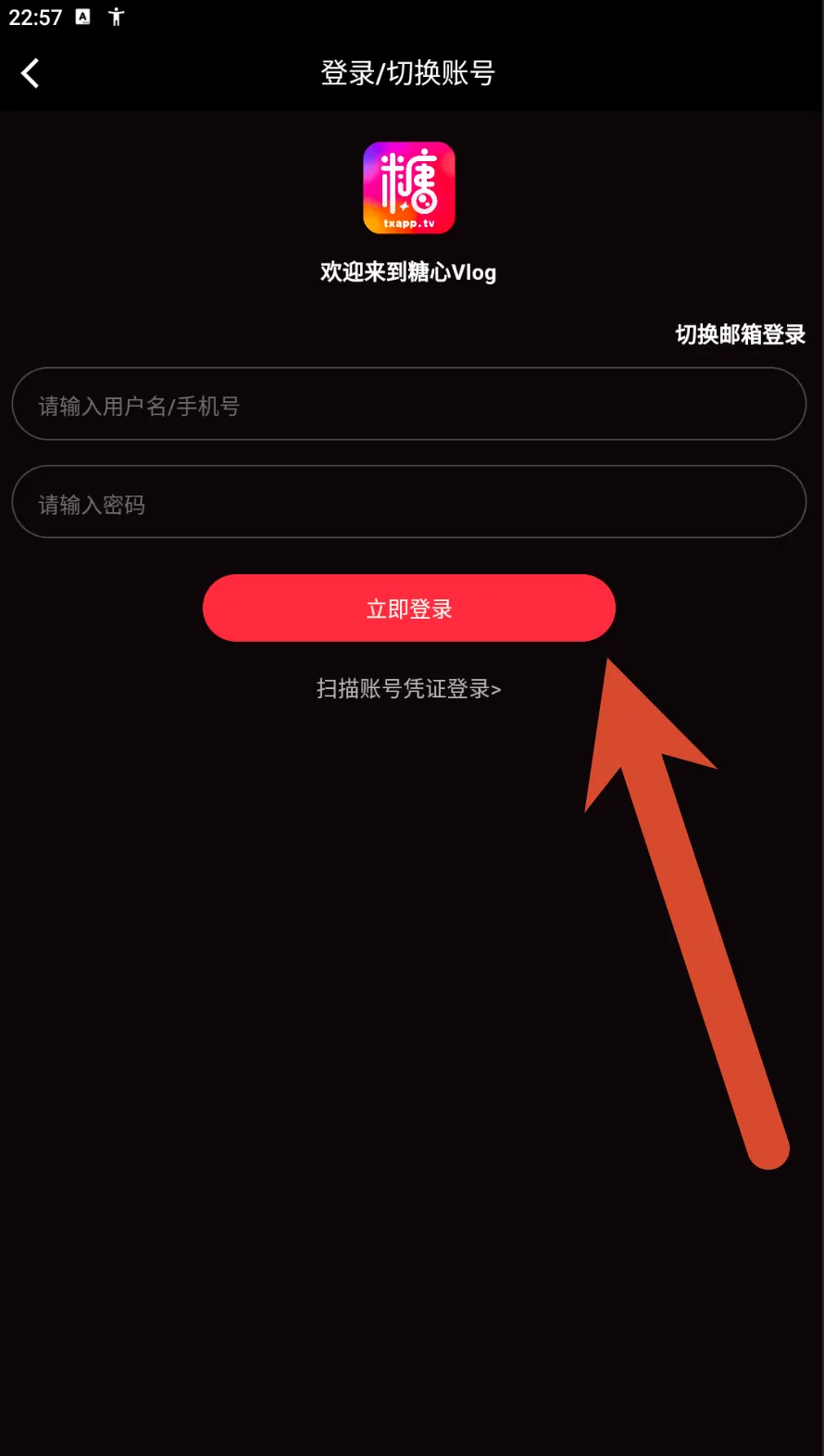 糖心Vlog账号密码登录界面示例
