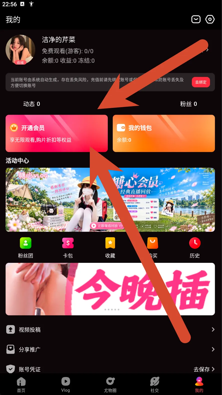 糖心Vlog个人中心会员与钱包界面示例