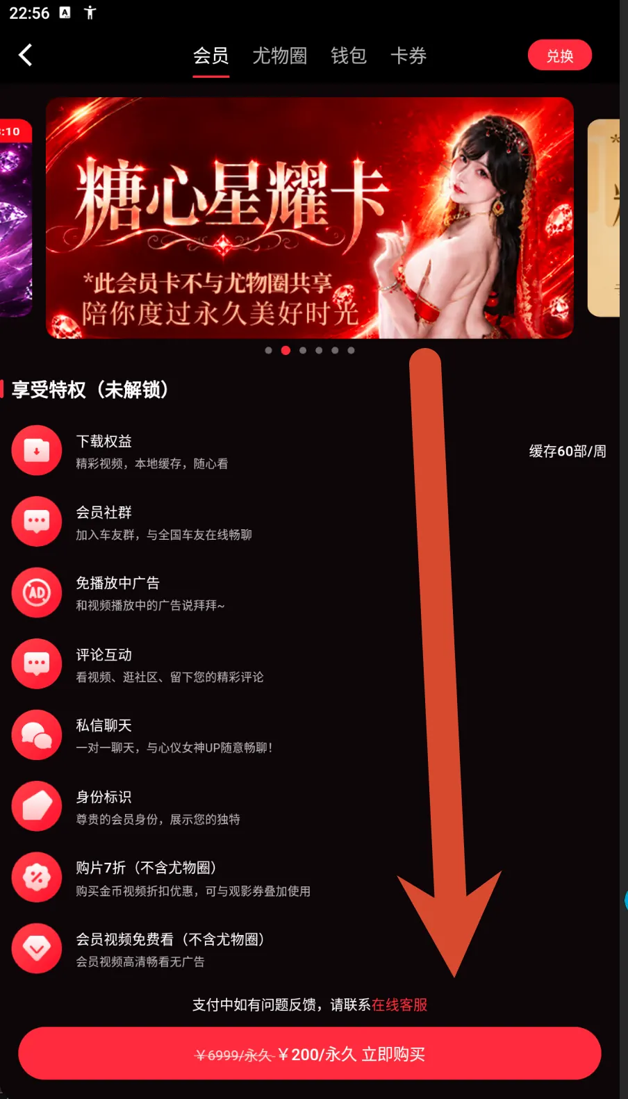糖心星耀卡会员价格界面示例