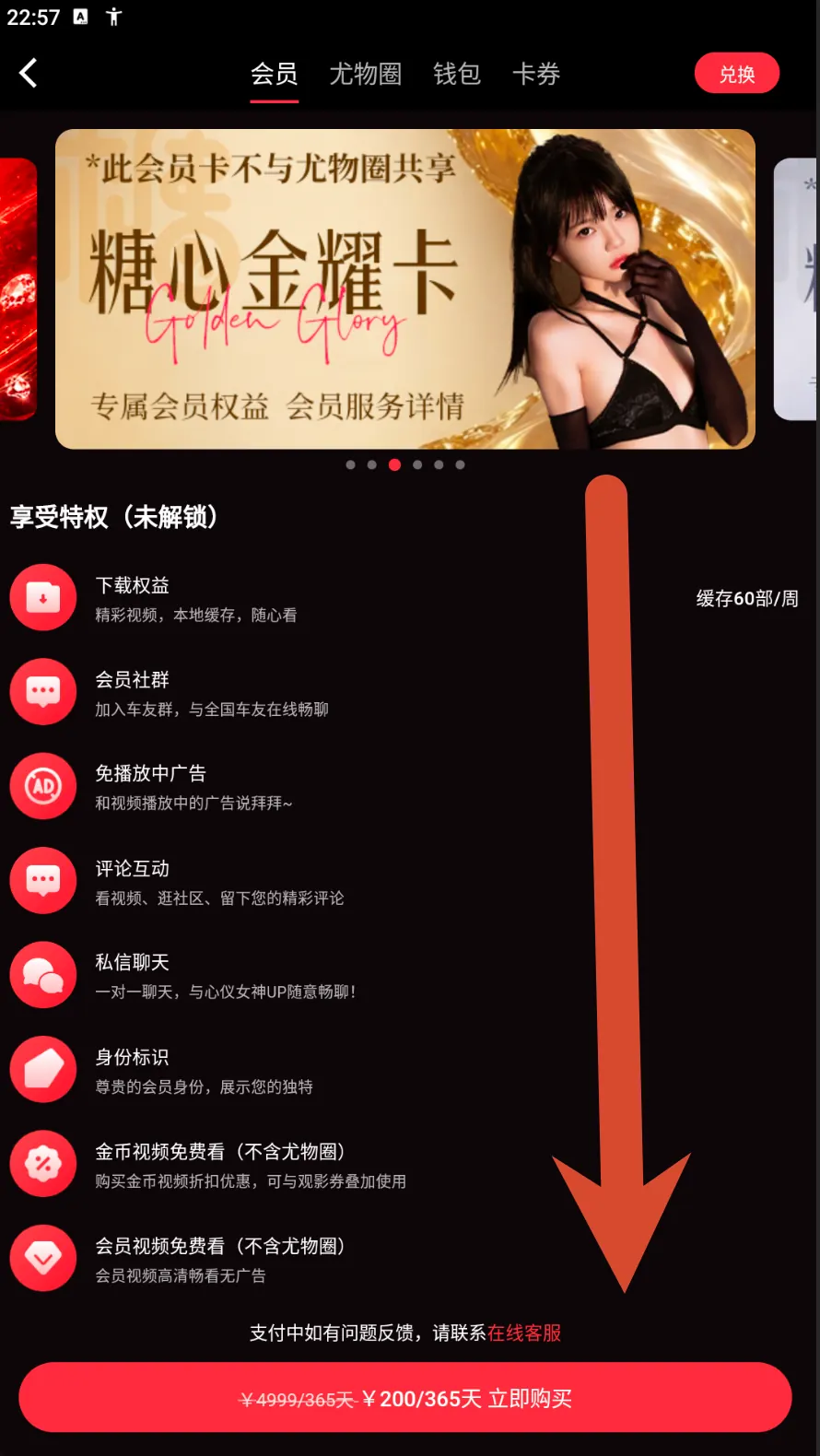 糖心金耀卡会员价格界面示例
